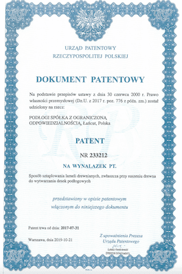 Patent 233212